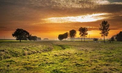 광화문 아트마켓