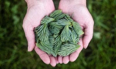 홍대 버스킹 나이트