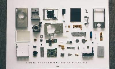 여의도 봄꽃 축제 2026