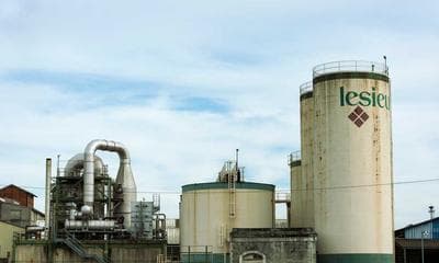 북촌 사진 전시회: 봄빛 서울